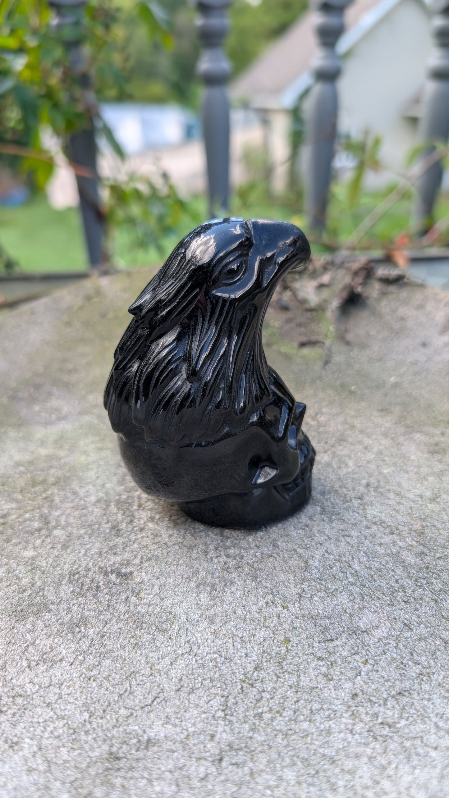 Obsidian Eagle and Skull Carving