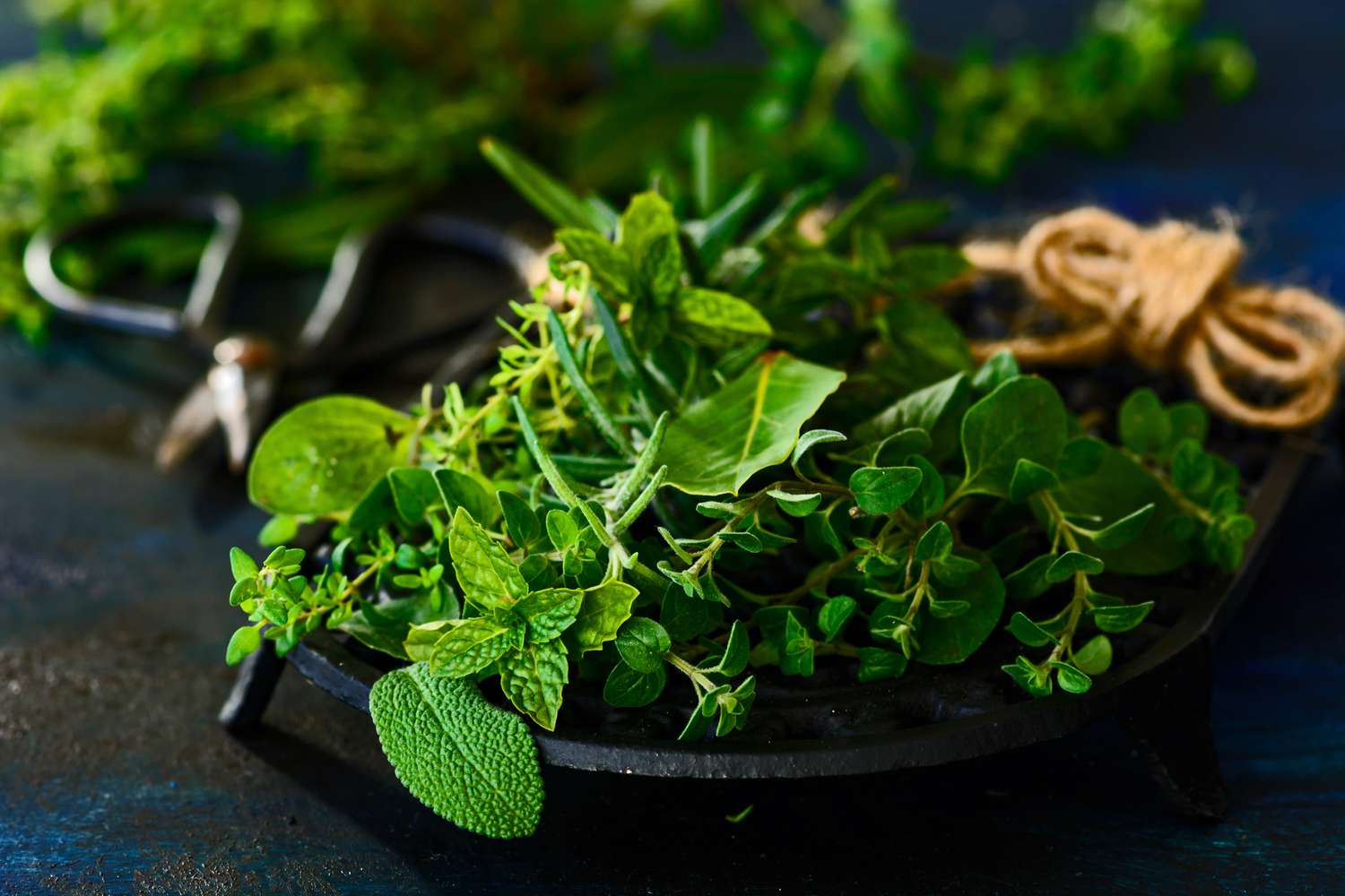 Herbs, Salts, and Resins