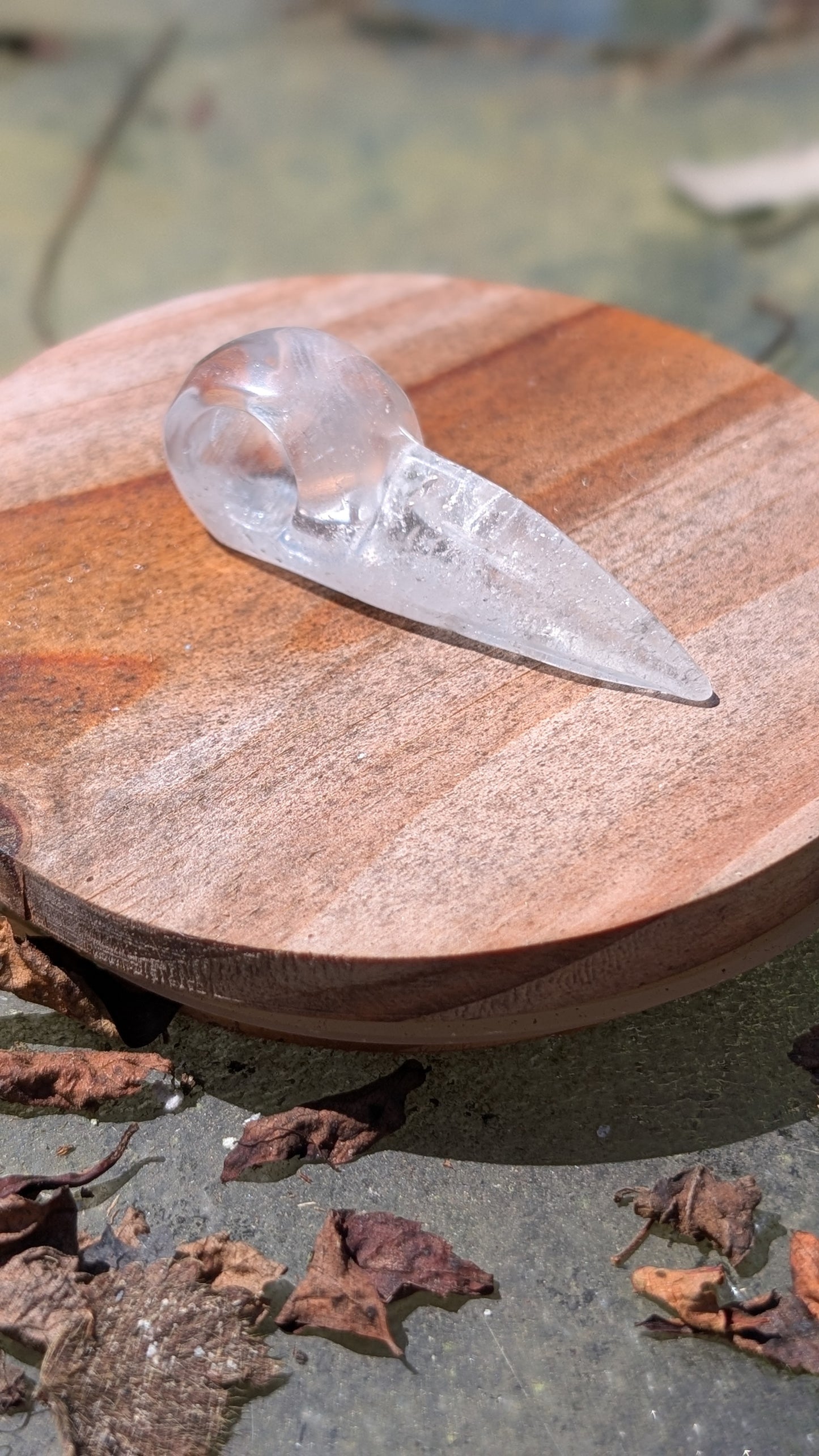 Mystery Raven Skull Carvings