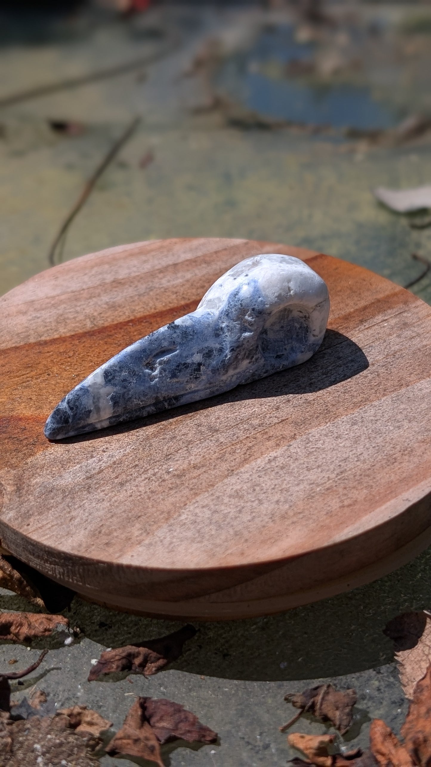 Mystery Raven Skull Carvings