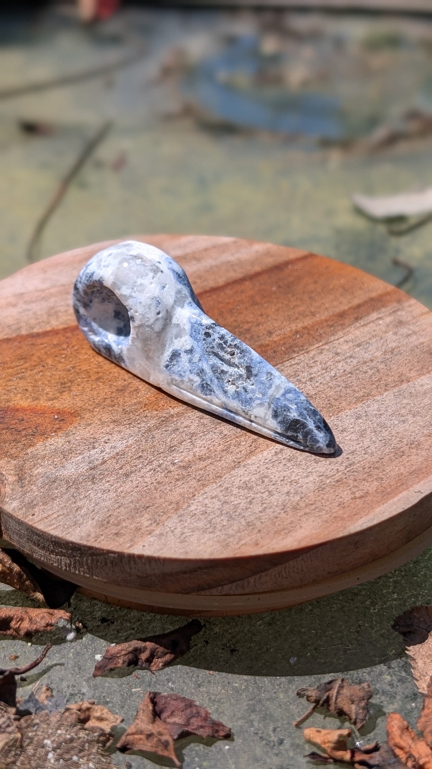 Mystery Raven Skull Carvings