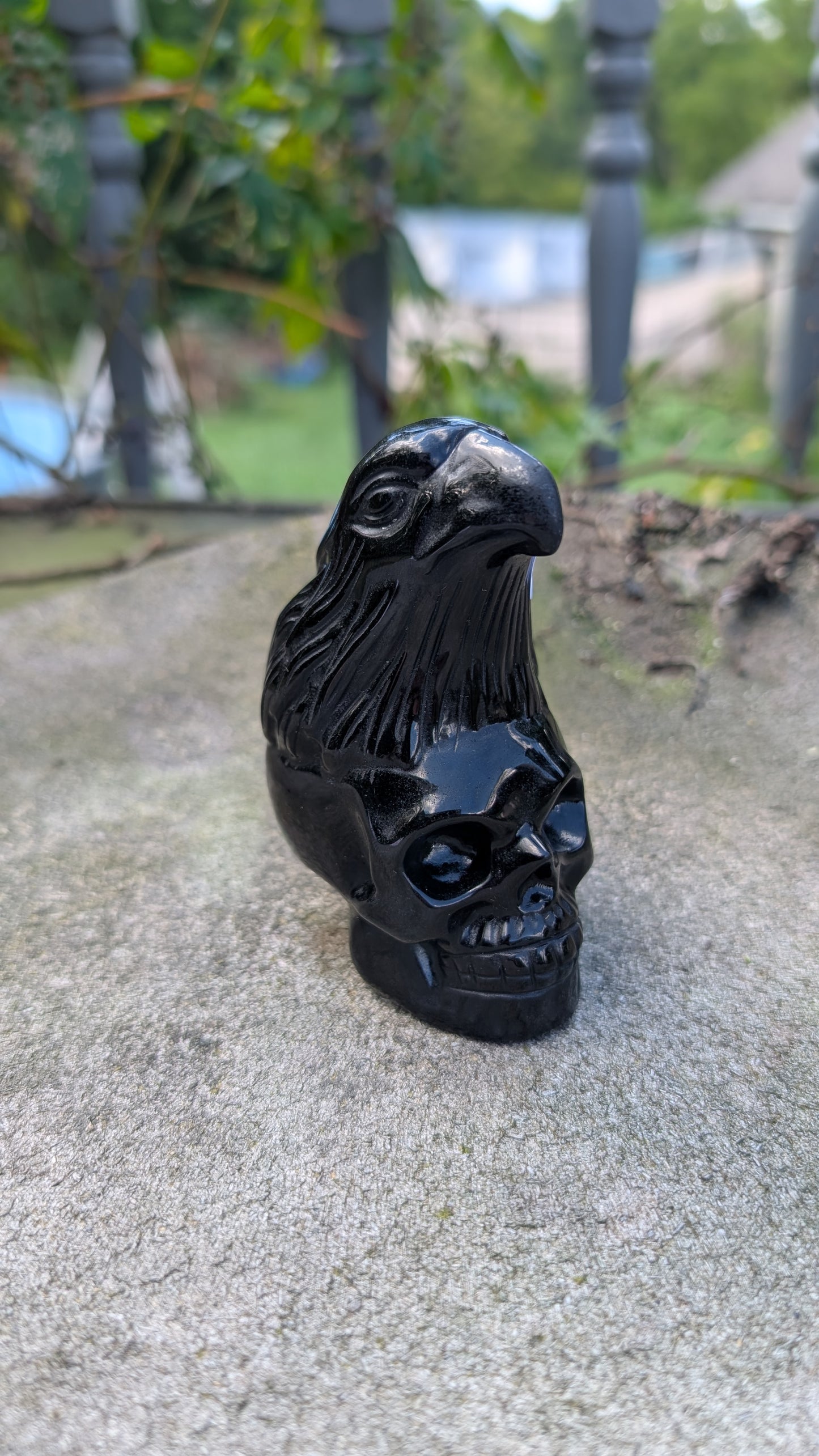 Obsidian Eagle and Skull Carving