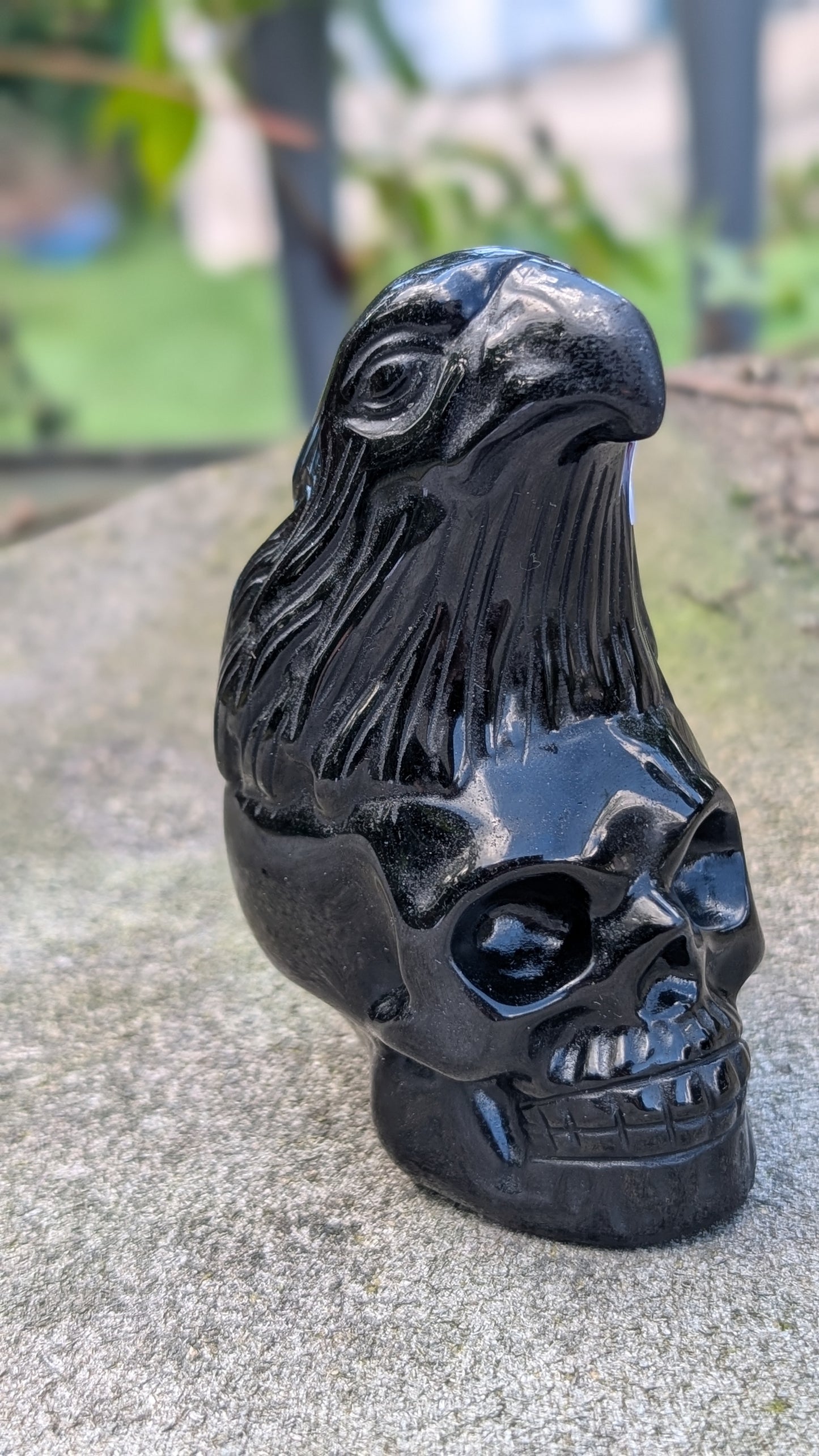 Obsidian Eagle and Skull Carving