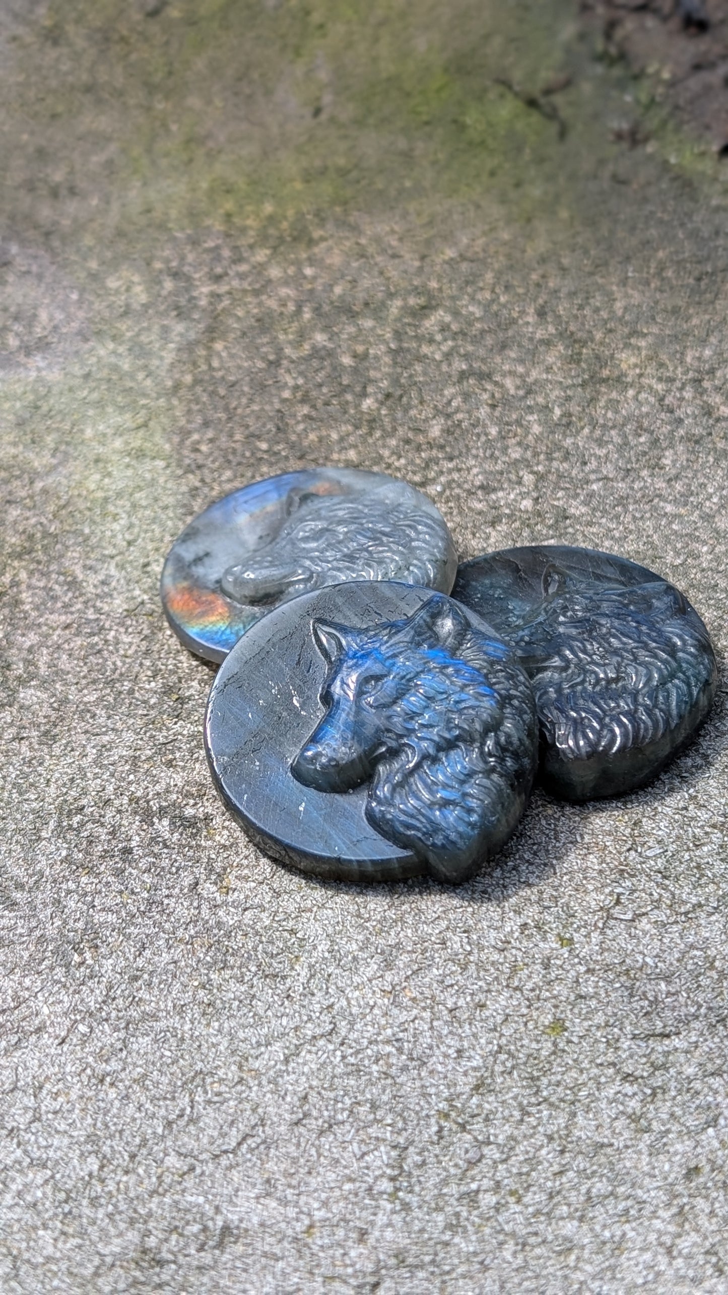Labradorite Wolf Coin