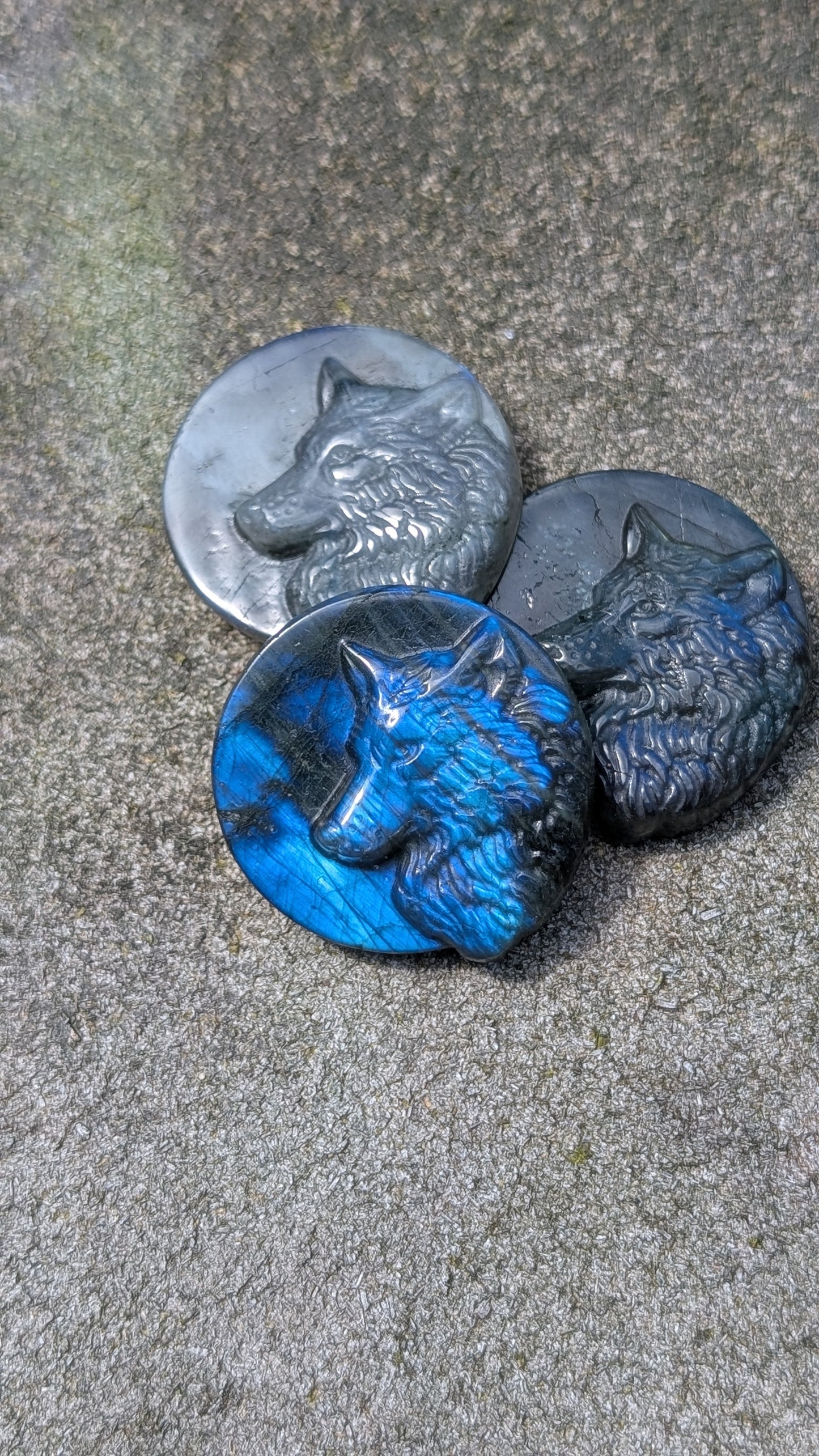 Labradorite Wolf Coin