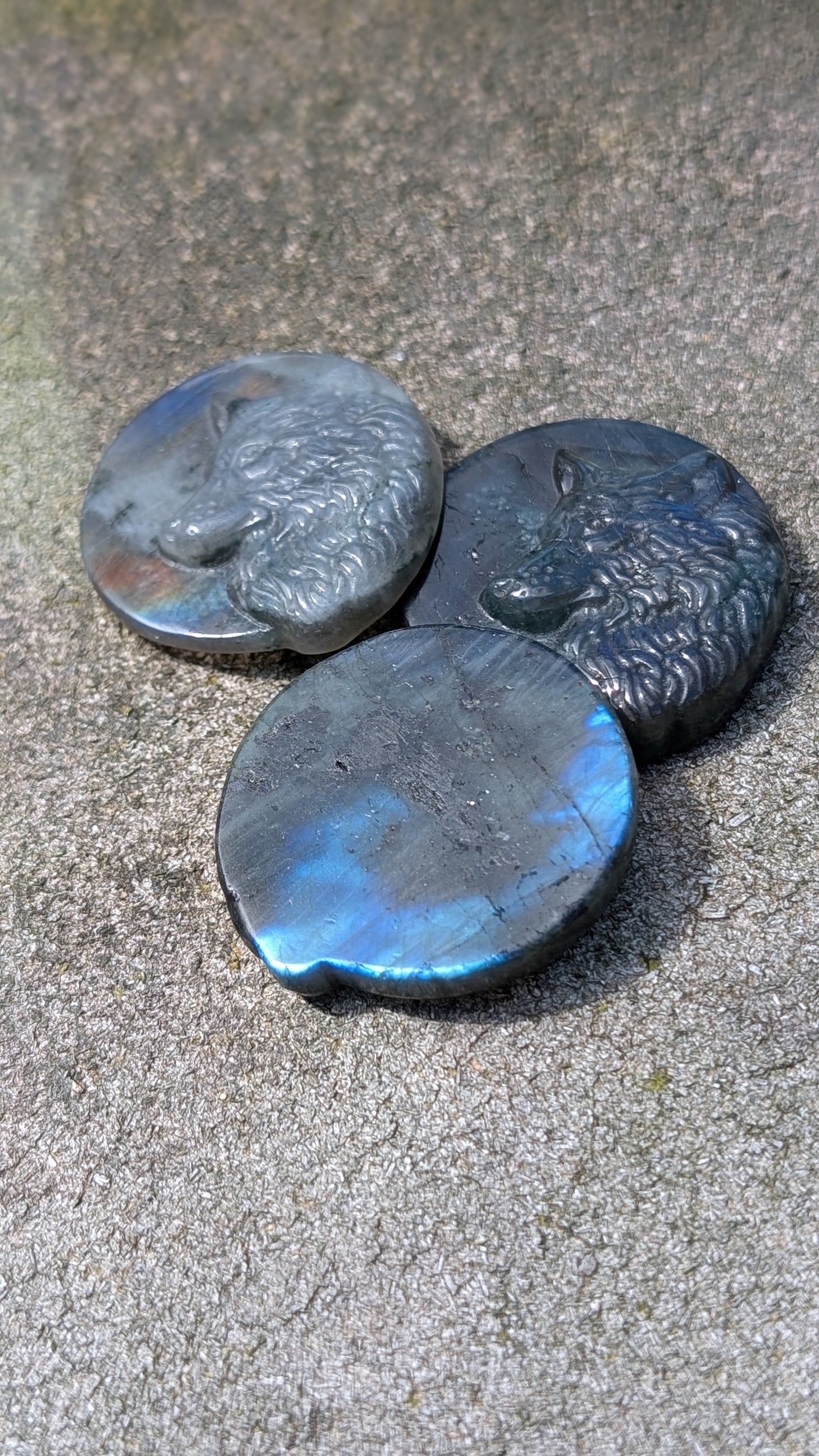 Labradorite Wolf Coin