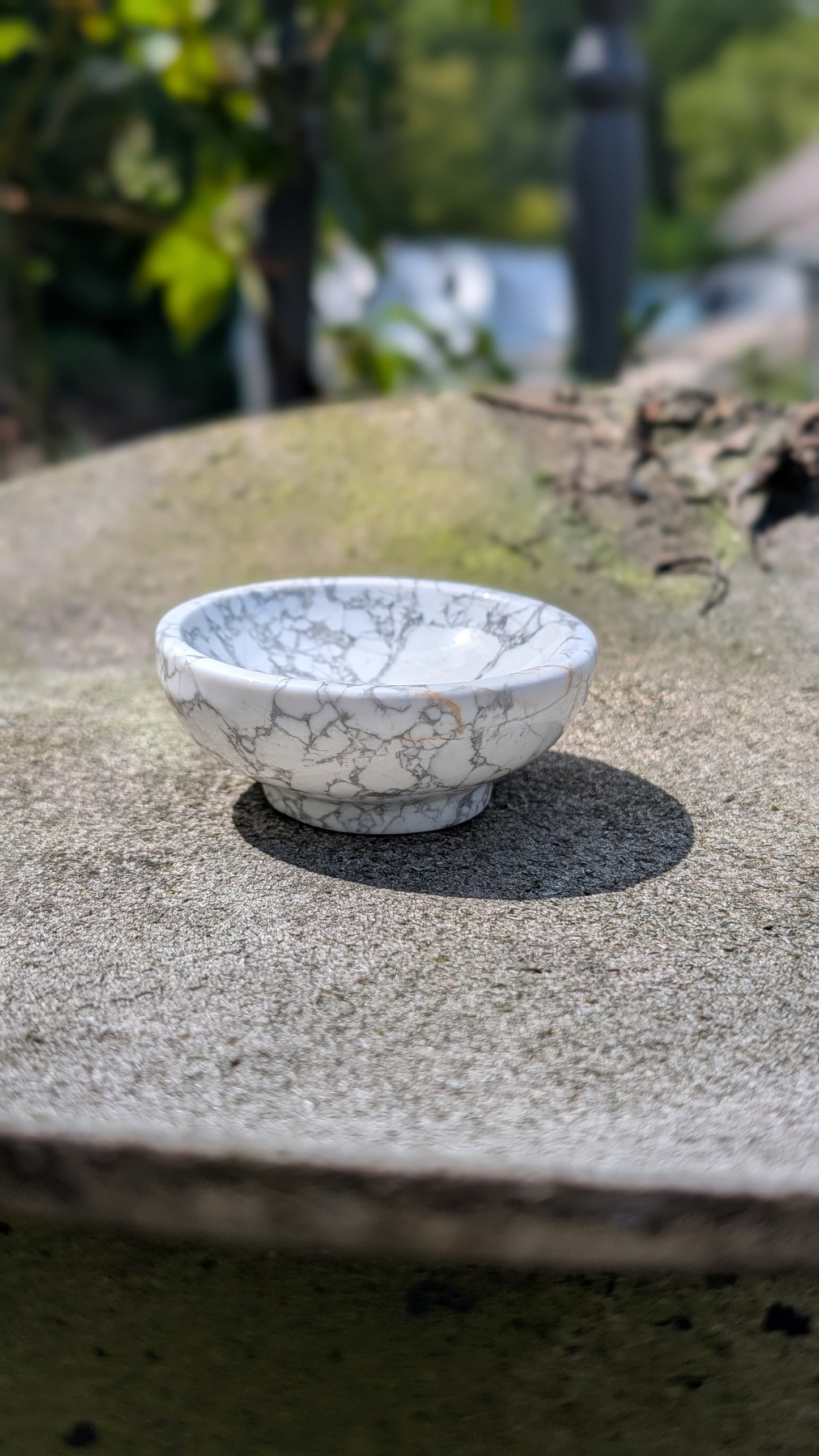 Howlite Bowl