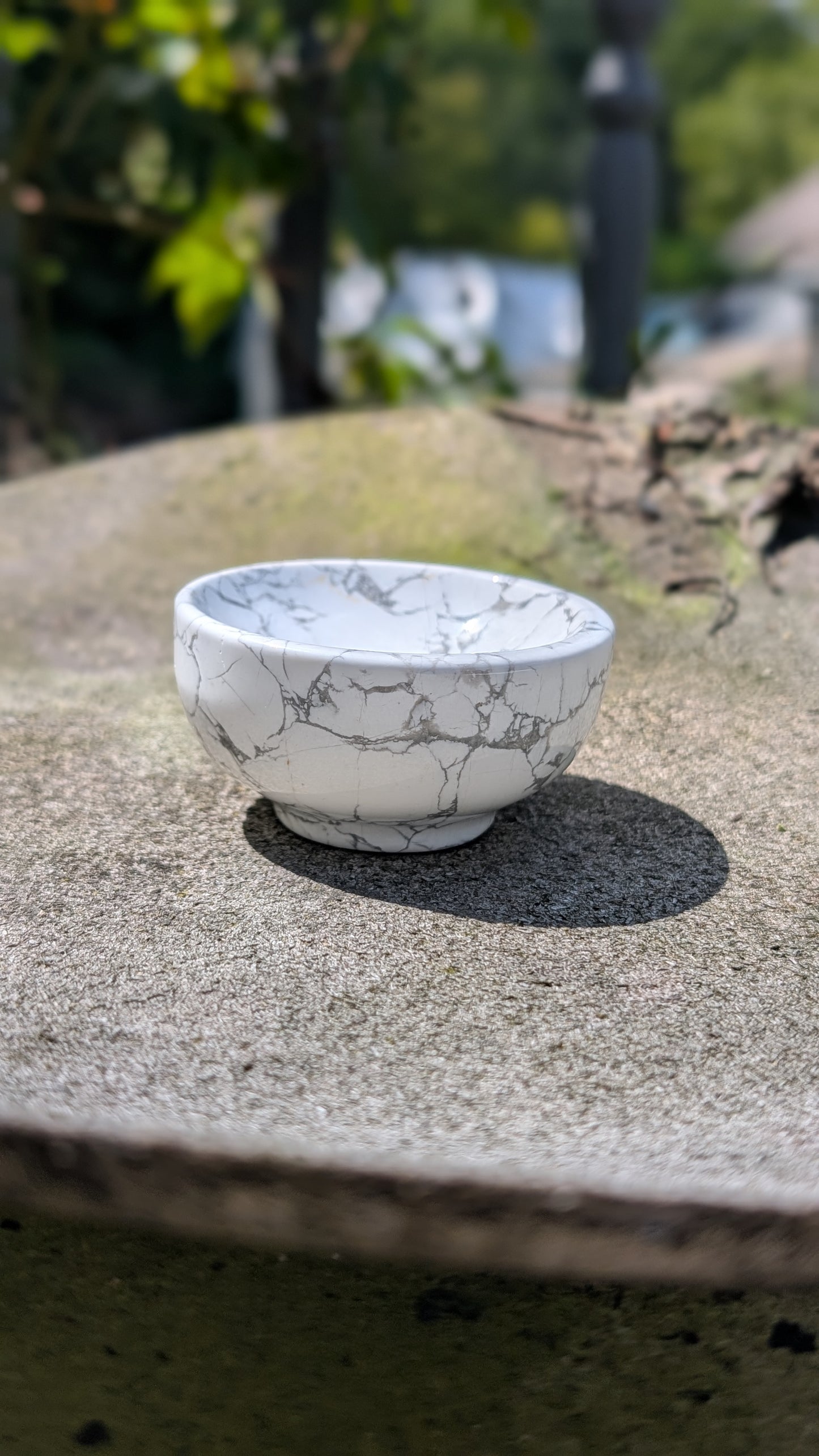 Howlite Bowl