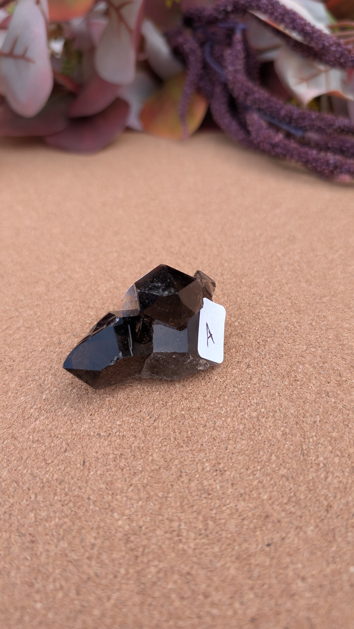 Smoky Quartz Point Specimens