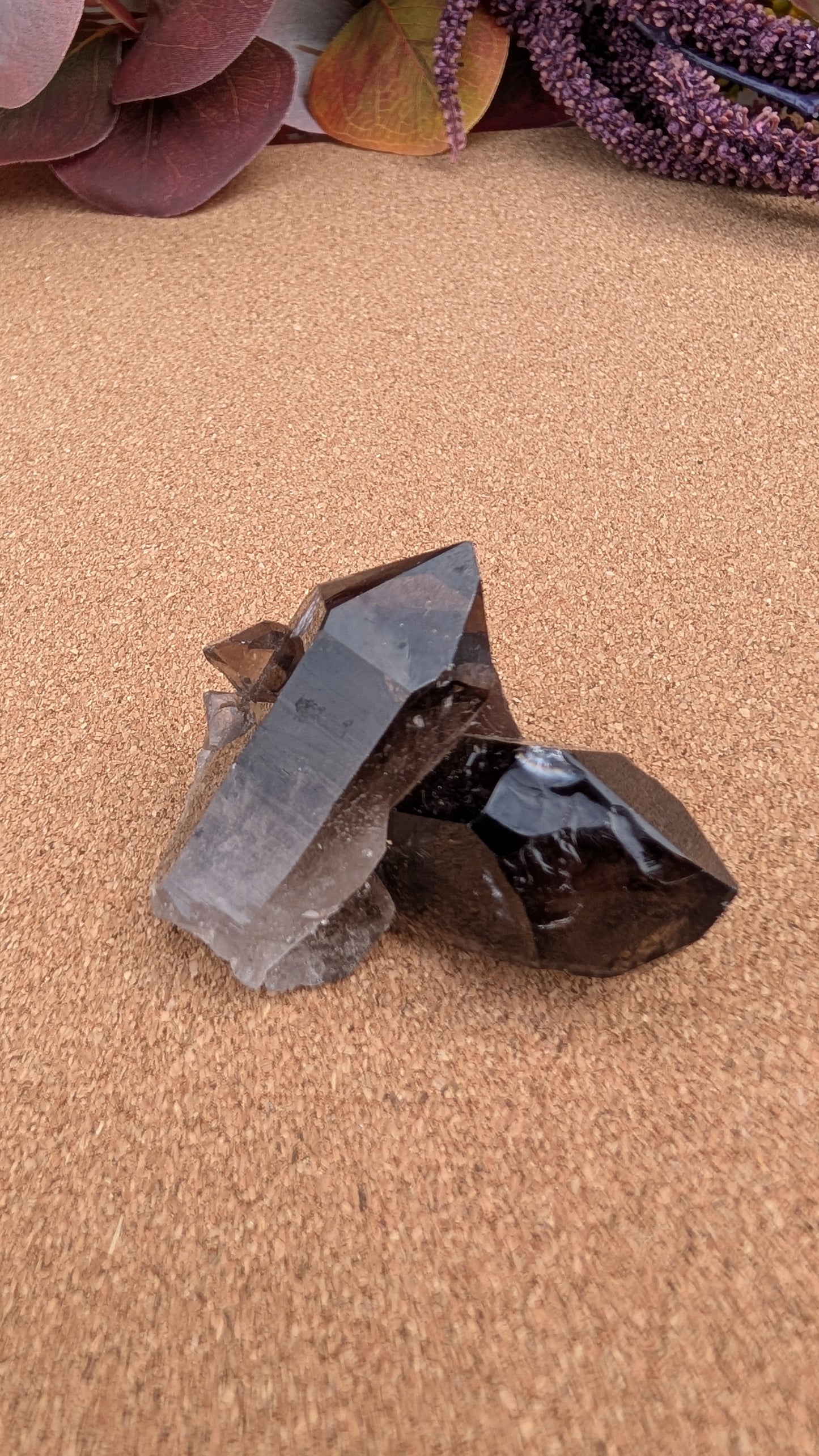 Smoky Quartz Point Specimens