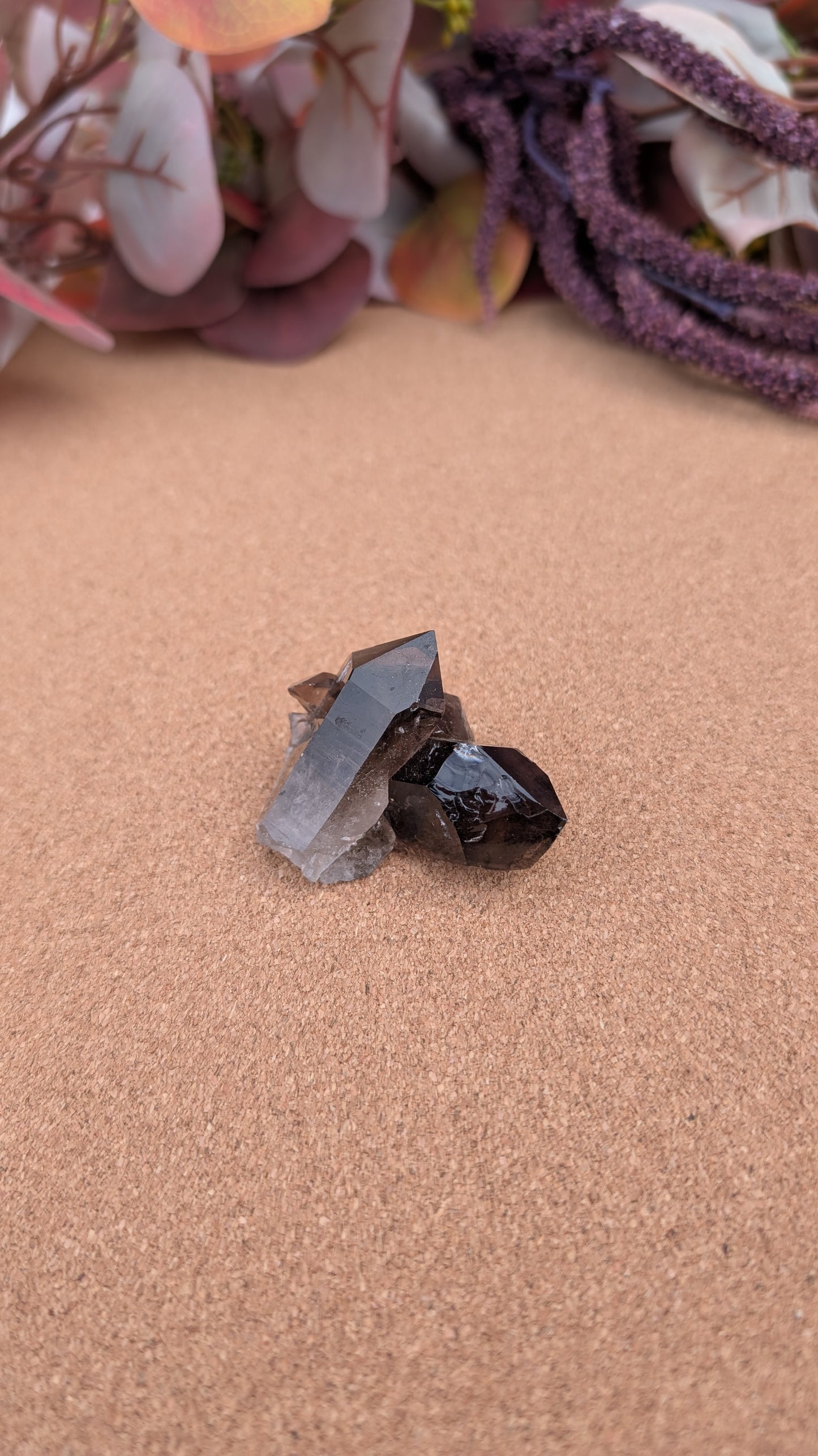 Smoky Quartz Point Specimens