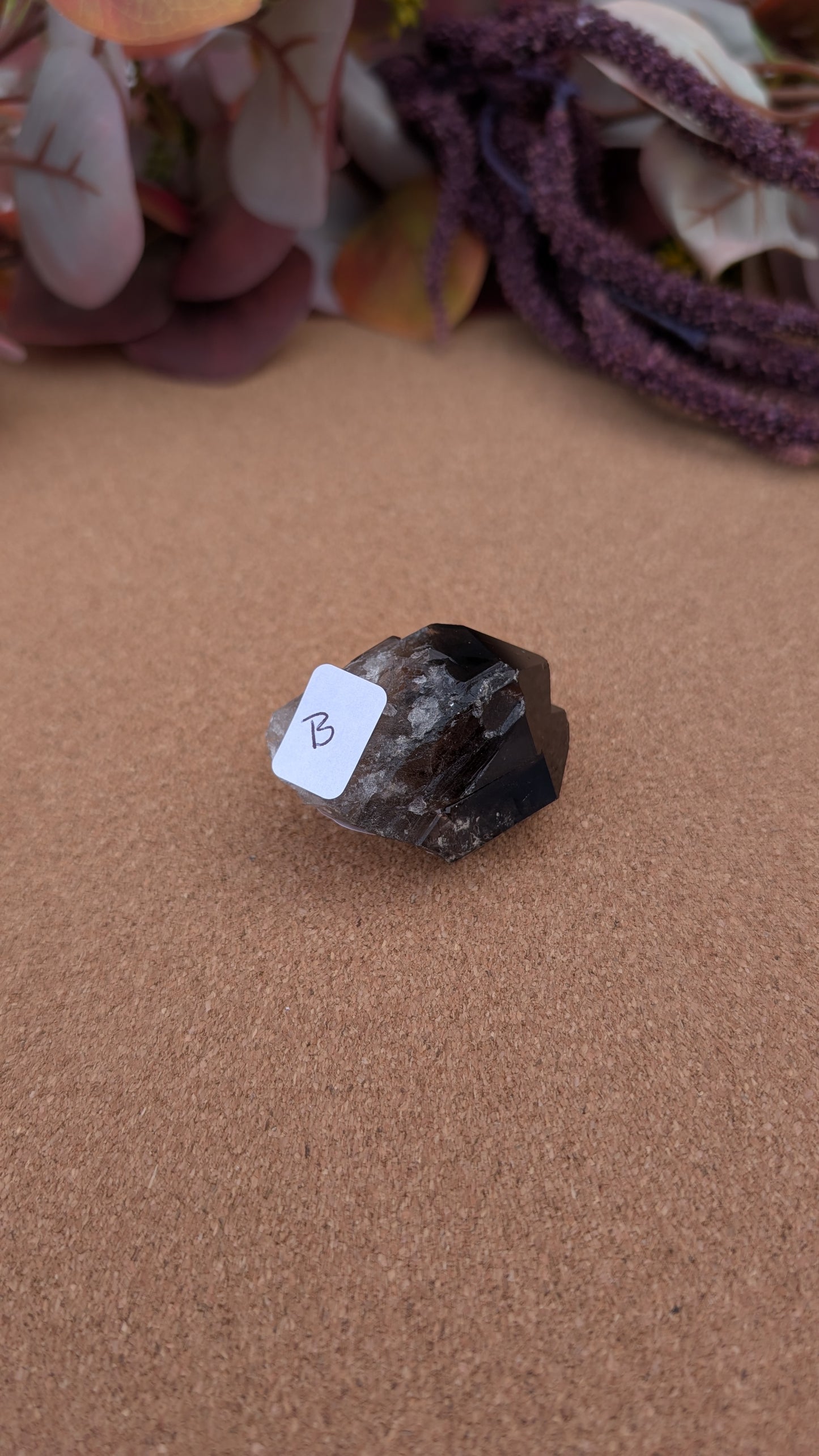 Smoky Quartz Point Specimens