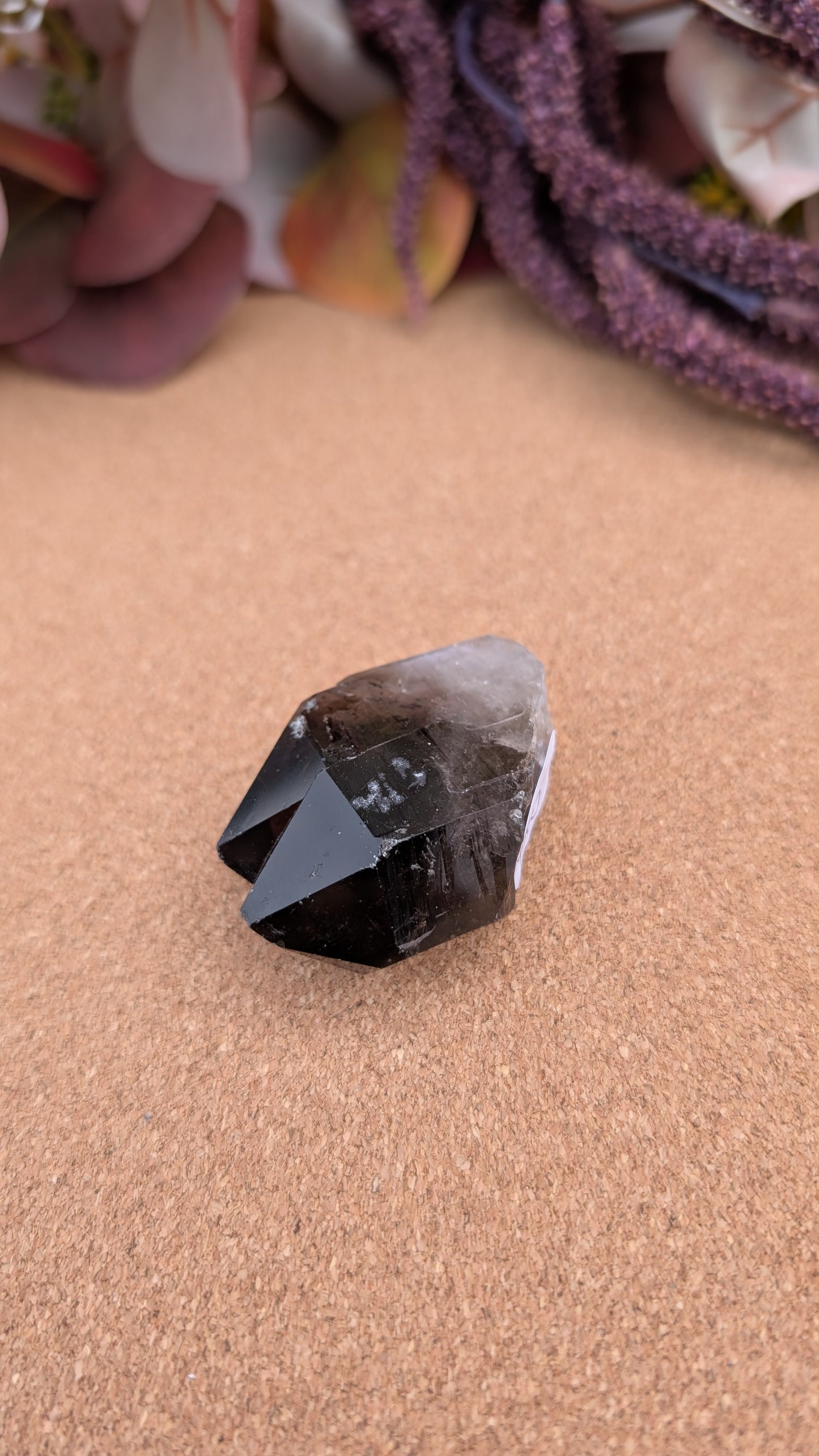 Smoky Quartz Point Specimens
