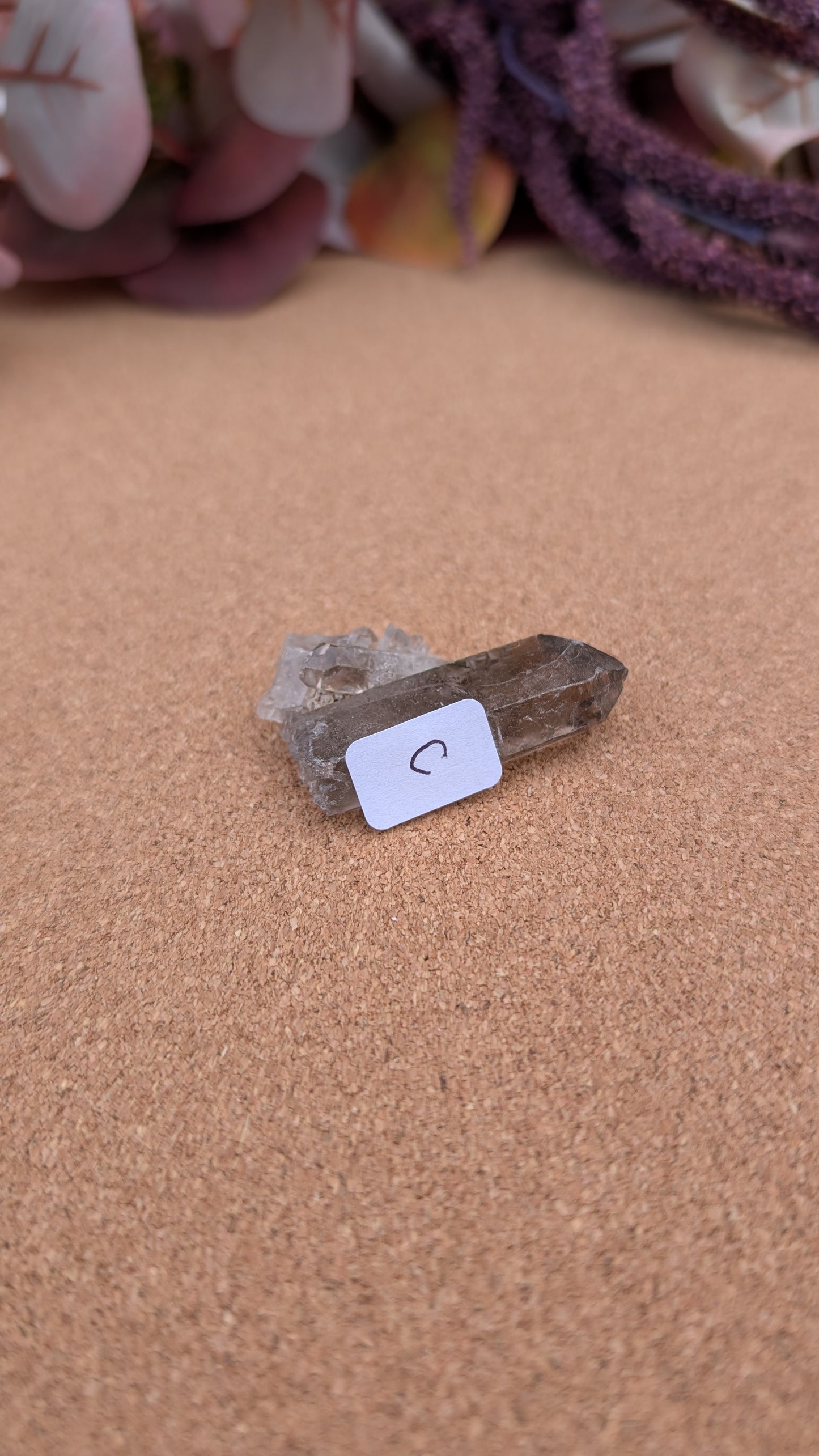 Smoky Quartz Point Specimens
