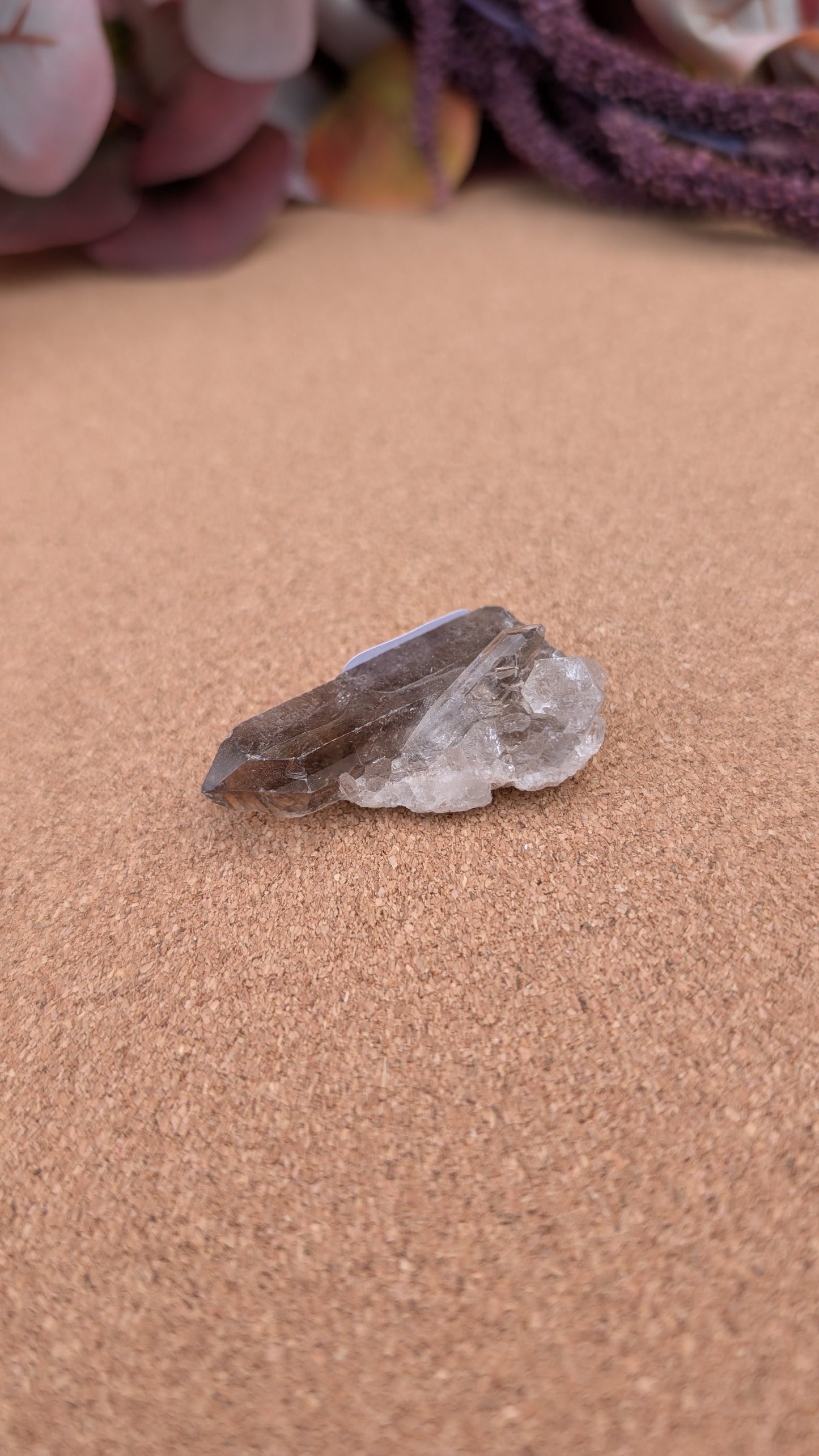 Smoky Quartz Point Specimens