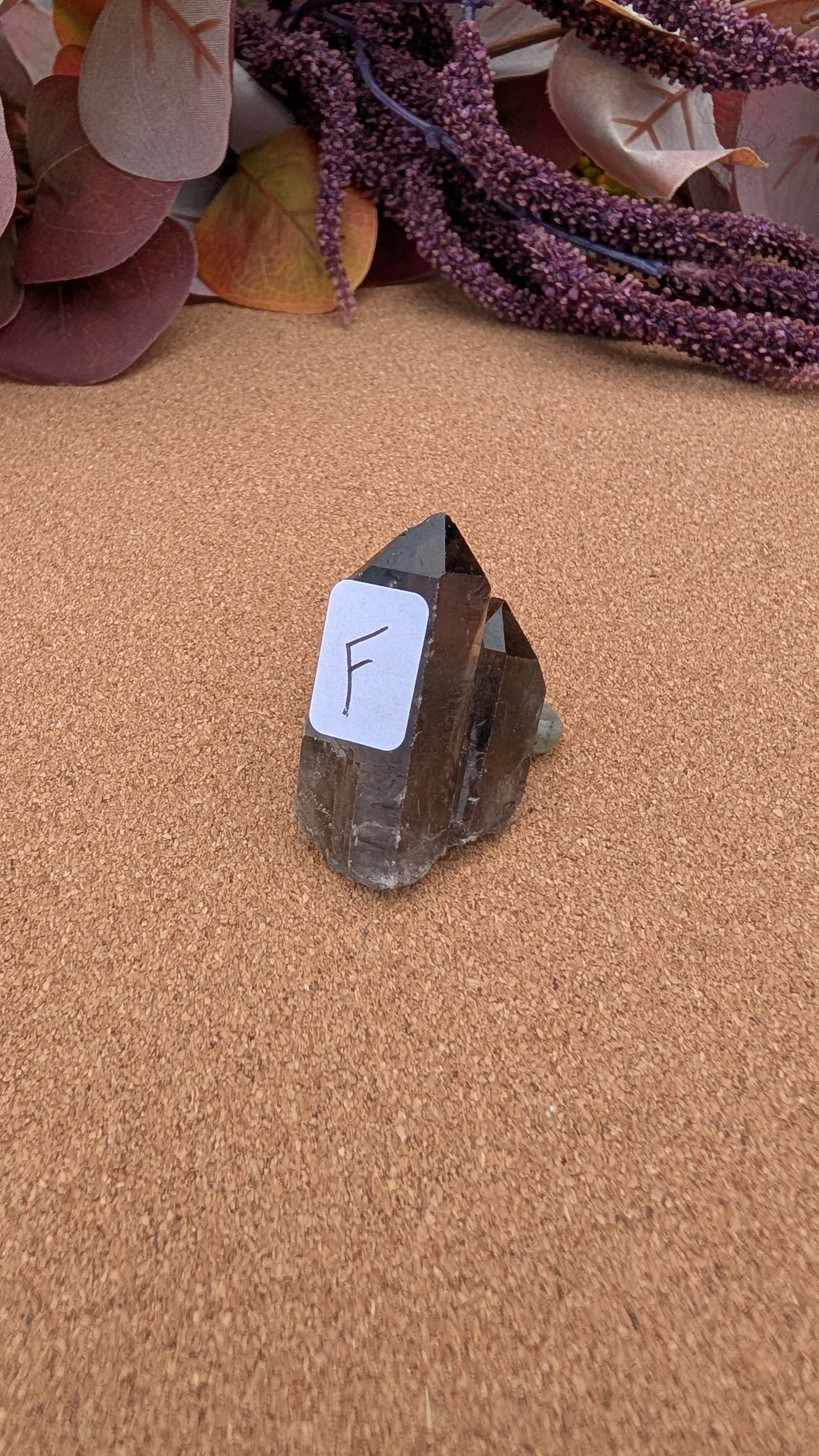 Smoky Quartz Point Specimens